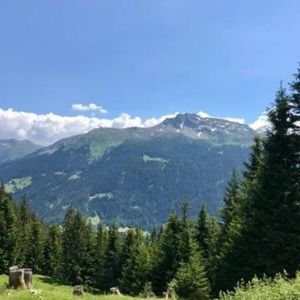 Meet your Posher, Tara